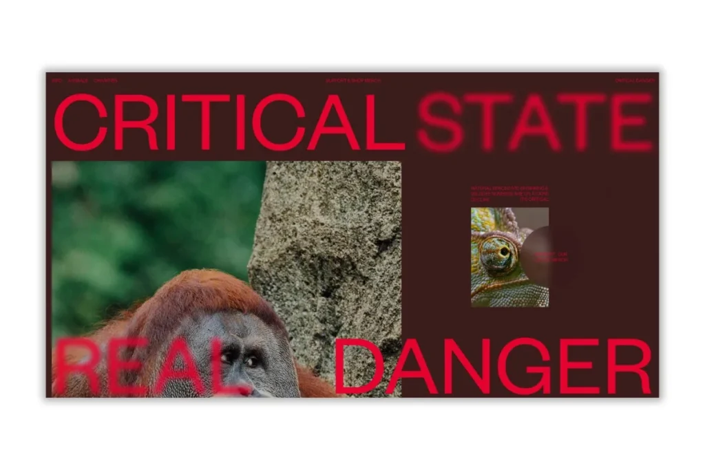 An image depicting a critical state of real danger, highlighting urgent and severe threats to safety and well-being.